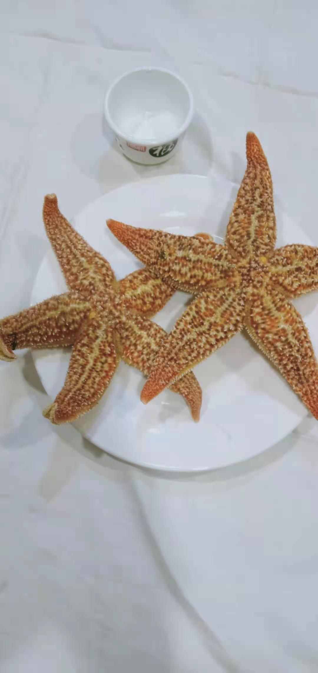 海星能吃吗（海星悄然成美味）