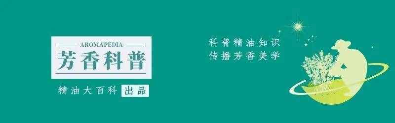 薰衣草精油网（薰衣草精油—护肤升级的小秘密）