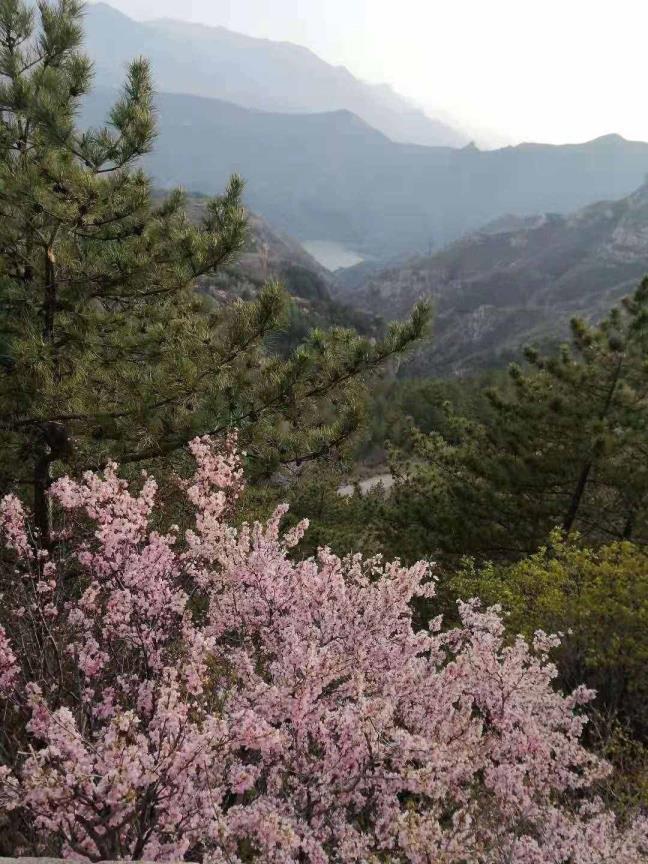 恒山旅游攻略（衡山旅游攻略自助游）