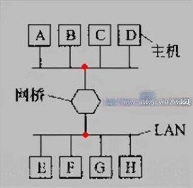 什么是网络设备（什么是交换机和路由器）