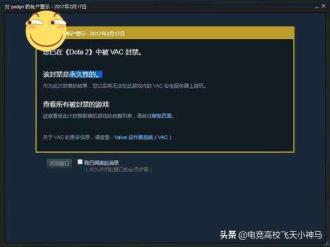 vac是什么(steam游戏封禁并非vac)