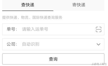 单号在哪里看(快递单号能查到收货地址吗)